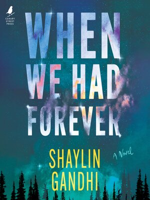 cover image of When We Had Forever